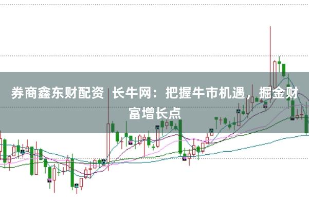 券商鑫东财配资 长牛网:把握牛市机遇,掘金财富增长点