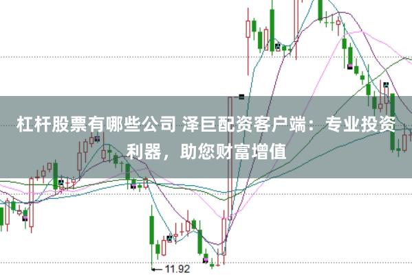 杠杆股票有哪些公司 泽巨配资客户端：专业投资利器，助您财富增值
