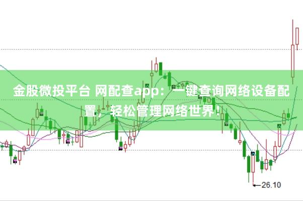 金股微投平台 网配查app：一键查询网络设备配置，轻松管理网络世界！