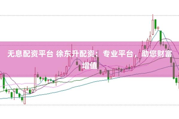 无息配资平台 徐东升配资：专业平台，助您财富增值