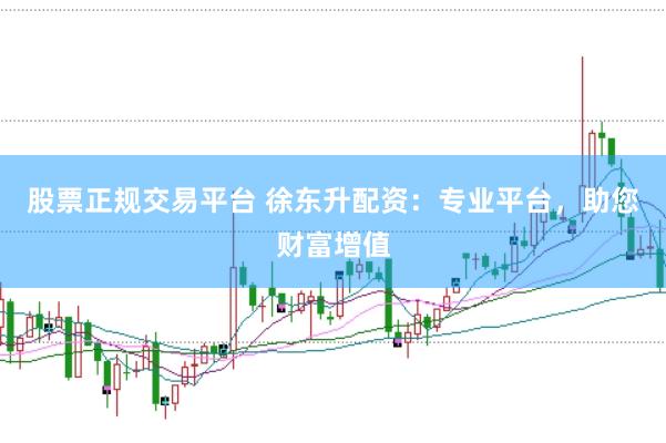股票正规交易平台 徐东升配资：专业平台，助您财富增值