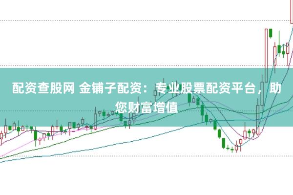配资查股网 金铺子配资：专业股票配资平台，助您财富增值