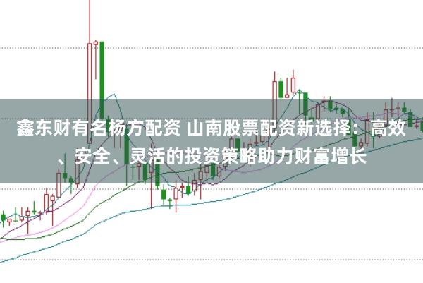 鑫东财有名杨方配资 山南股票配资新选择：高效、安全、灵活的投资策略助力财富增长