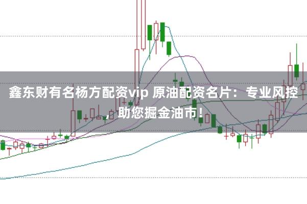 鑫东财有名杨方配资vip 原油配资名片:专业风控,助您掘金油市!