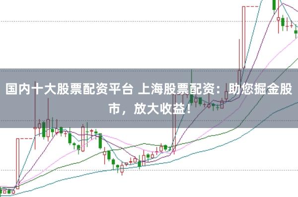 国内十大股票配资平台 上海股票配资：助您掘金股市，放大收益！